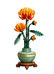 chrysanthemum 10368